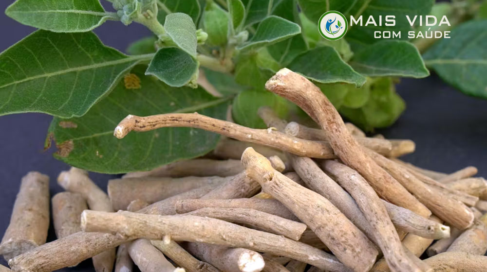 7 Benefícios da Ashwagandha